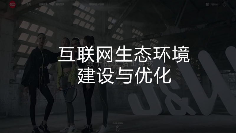 互联网生态环境的建设与优化